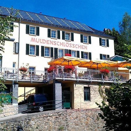 Hôtel Muldenschlosschen à Lunzenau Extérieur photo