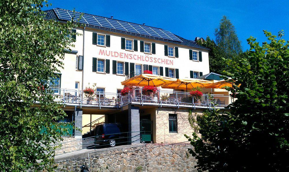 Hôtel Muldenschlosschen à Lunzenau Extérieur photo