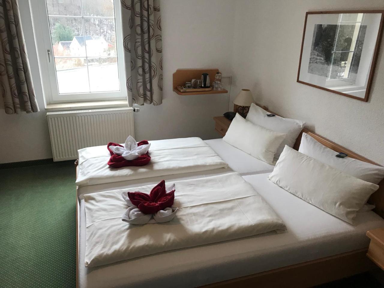 Hôtel Muldenschlosschen à Lunzenau Extérieur photo